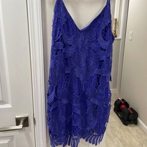 Express Purple Dress